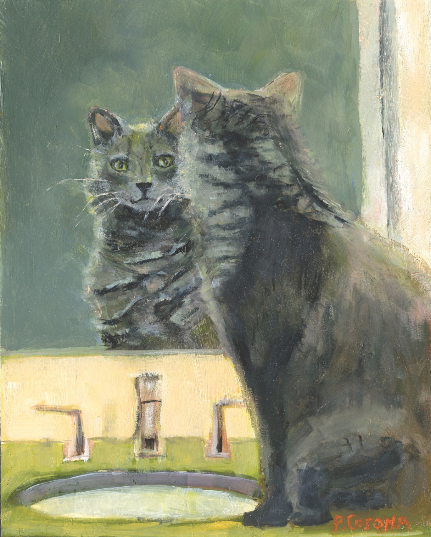 The Cat's Meow