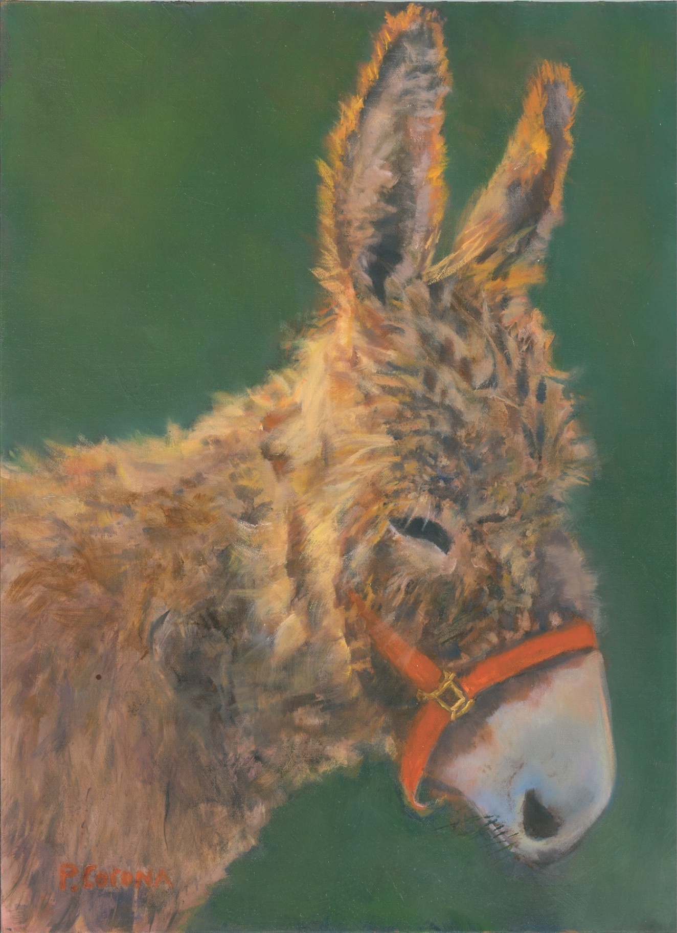 Fuzzy Joey