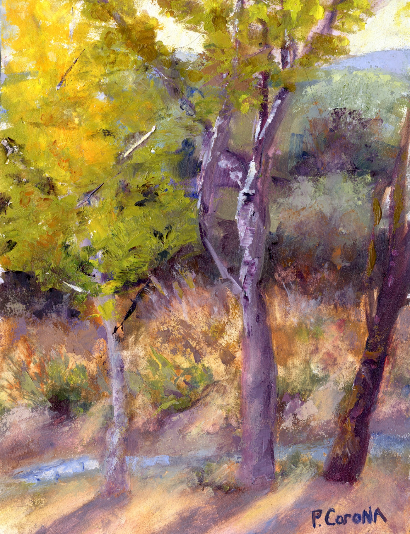 Autumn at the San Pedro
