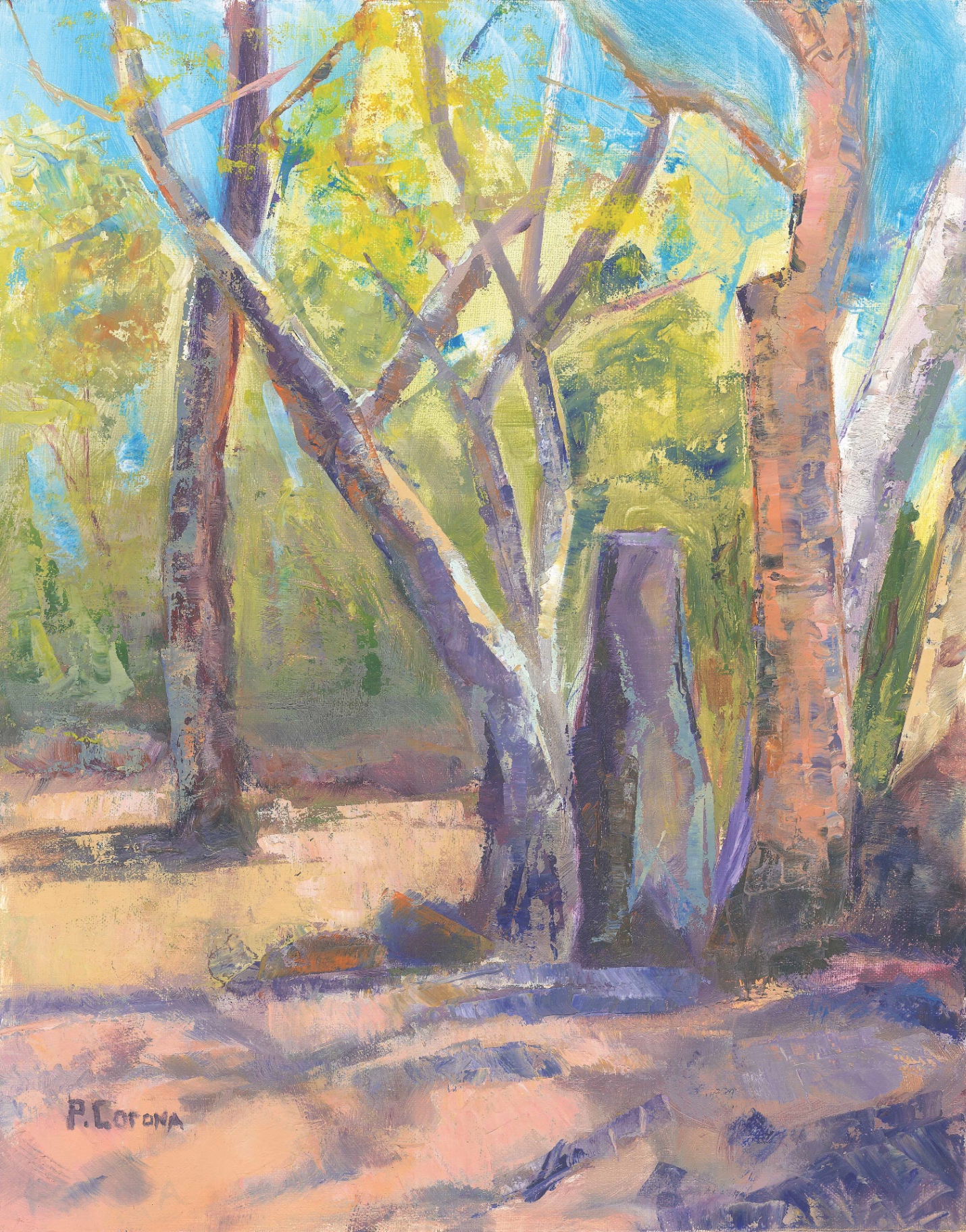 Spring Time in Miller Canyon