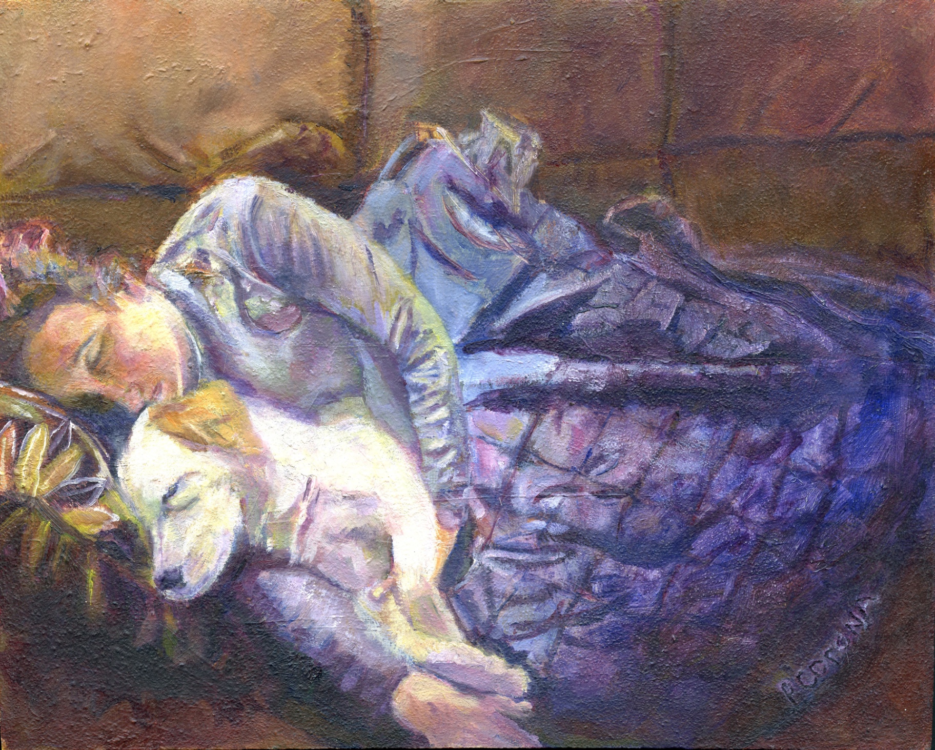 Afternoon Siesta