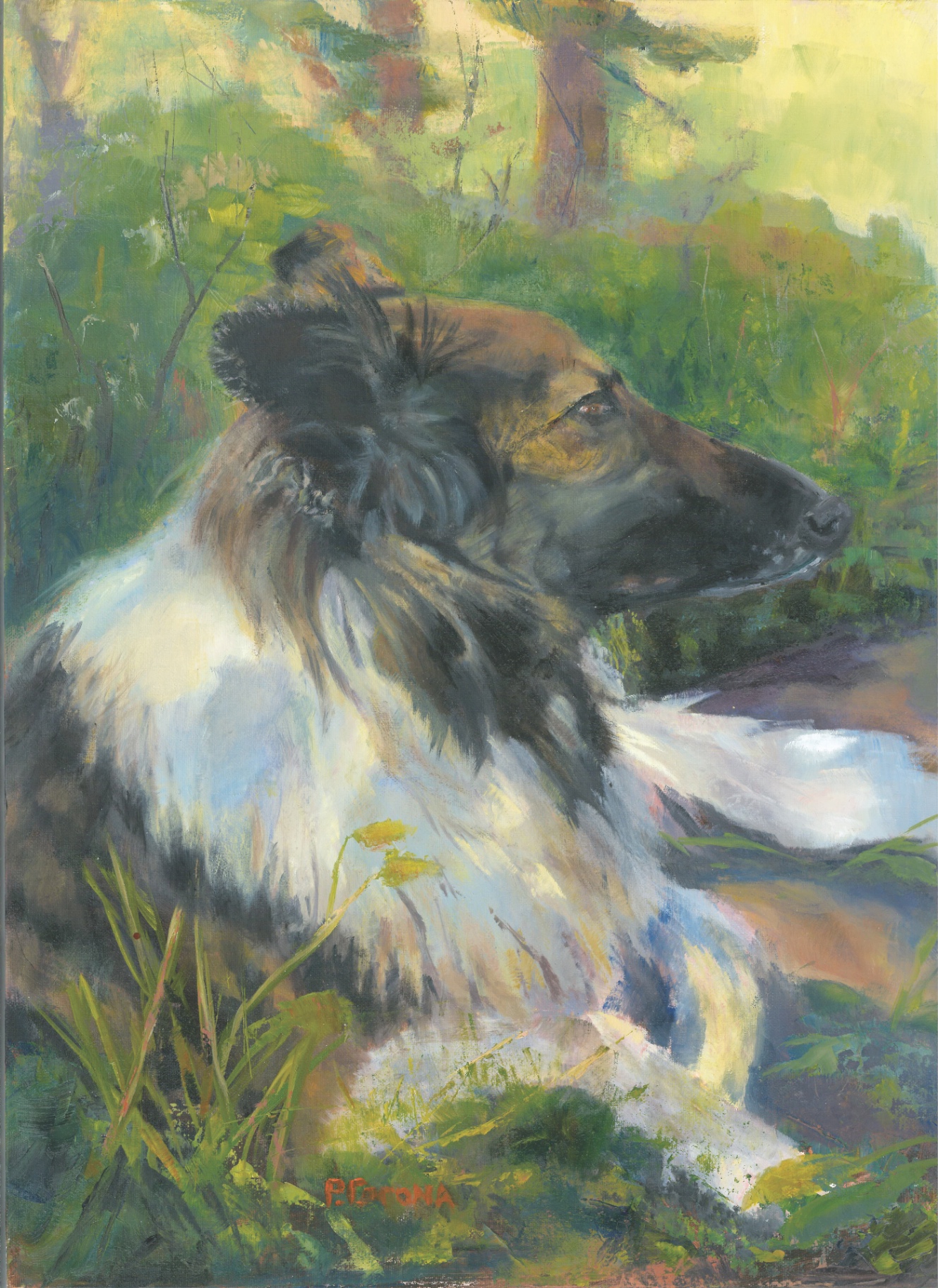 A Dog's Life